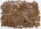 4.1 Lbs. Wheat Pennies