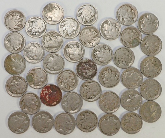 Small Bag of Buffalo Nickels