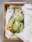 Steiff School Starter Bear, 1998 Club Bear No 01019
