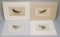 4 Morris Prints/Plates; Spine-Tailed Swallow, Sand Martin, Pied Wagtail &