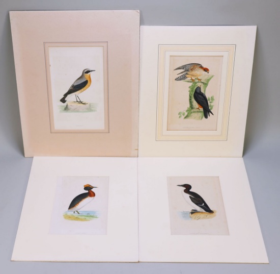 4 Morris Prints/Plates; Wheatear, Orange-Legged Hobby, Dusky Grebe &