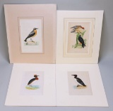 4 Morris Prints/Plates; Wheatear, Orange-Legged Hobby, Dusky Grebe &