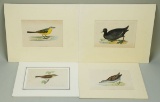 4 Morris Prints/Plates; Grey-Headed Wagtail, Coot, Little Crake & Chill Chaff