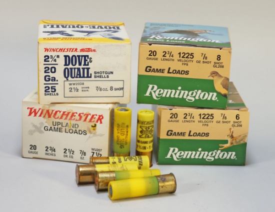 Winchester & Remington 20 GA Shotgun Shells, 100 Shotshells + 6 Loose Shells