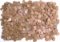 9.2 Lbs. Wheat Pennies