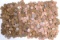8.11 Lbs. Wheat Pennies
