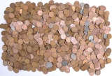 8 Lbs. Wheat Pennies