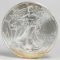 2013 American Eagle/Walking Liberty 1oz. Fine Silver Dollar