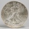 2014 American Eagle/Walking Liberty 1oz. Fine Silver Dollar