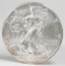 2013 American Eagle/Walking Liberty 1oz. Fine Silver Dollar