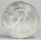 2013 American Eagle/Walking Liberty 1oz. Fine Silver Dollar