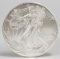 2013 American Eagle/Walking Liberty 1oz. Fine Silver Dollar