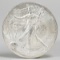 2014 American Eagle/Walking Liberty 1oz. Fine Silver Dollar