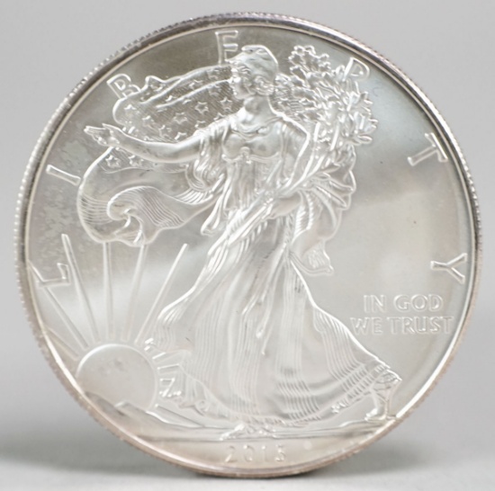 2013 American Eagle/Walking Liberty 1oz. Fine Silver Dollar