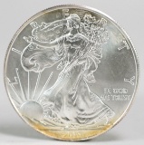 2013 American Eagle/Walking Liberty 1oz. Fine Silver Dollar