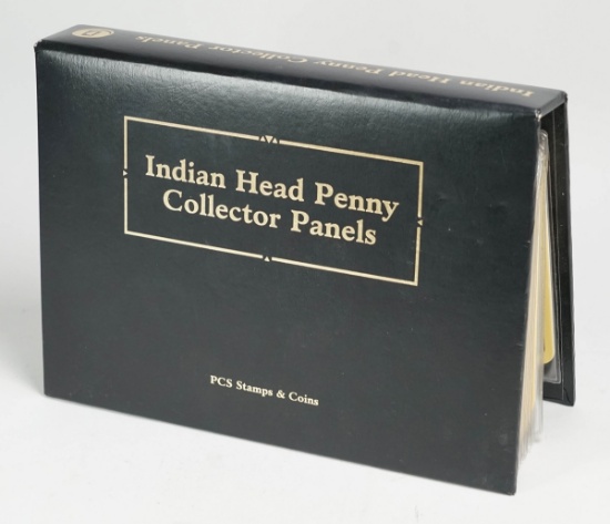 Indian Head Penny Collector Panels Book