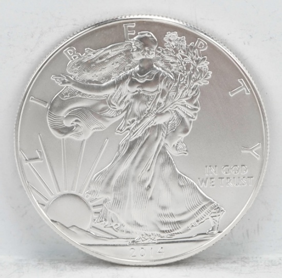 2014 American Silver Eagle