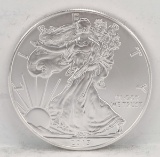 2015 American Silver Eagle