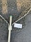 Fishing Net  w/  4' Handle