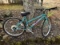 Backroads Nishiki Mountain Bike  -21 speed, Project