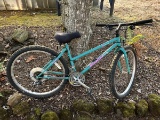 Backroads Nishiki Mountain Bike  -21 speed, Project