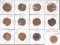 12 Indian Head Pennies; Various dates/Mints