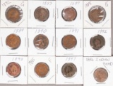 12 Indian Head Pennies; Various dates/Mints