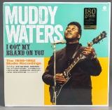 Muddy Waters 