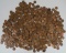5.4 Lbs. Wheat Pennies