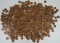 4.7 Lbs. Wheat Pennies