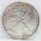 1987 American Silver Eagle