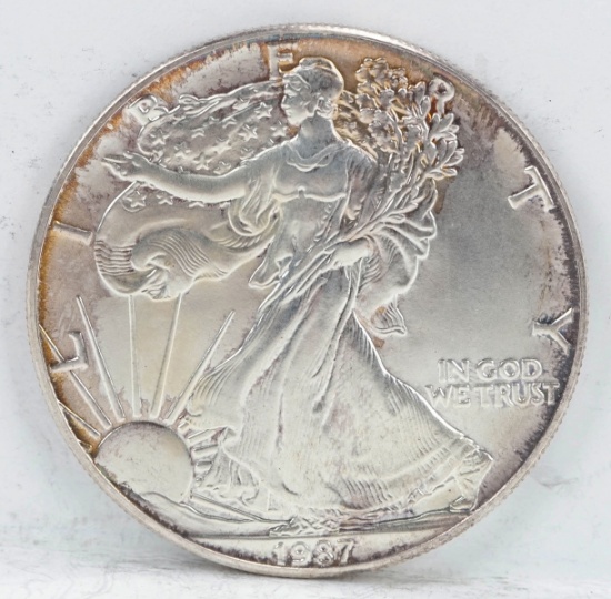 1987 American Silver Eagle