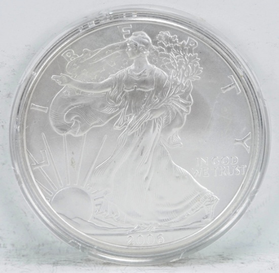 2006 American Silver Eagle