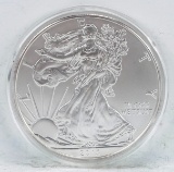 2013 American Silver Eagle