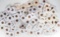 Large Bag of Wheat Pennies, Various Dates/Mints