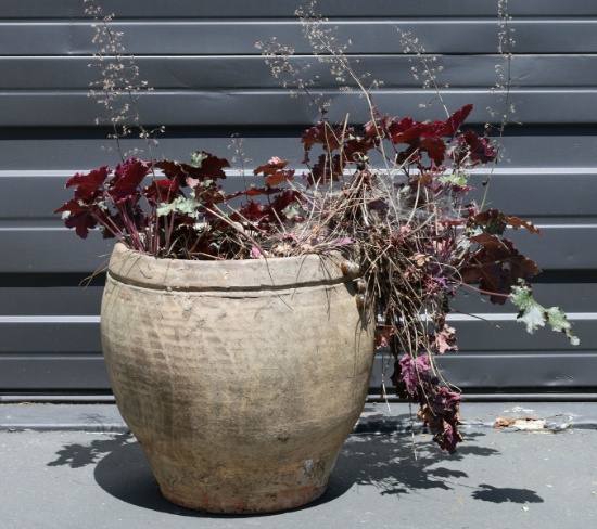 Buff Colored Clay Pot