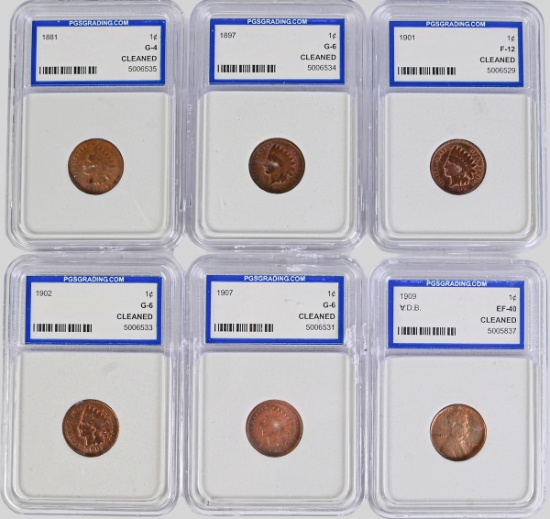 6 Slabbed Cents; 5 Indian Head Pennies & 1909 VDB Lincoln Cent