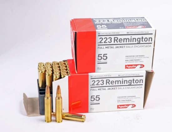 Aguila .223 Remington FMJ 55 Grain, 100 Rds.