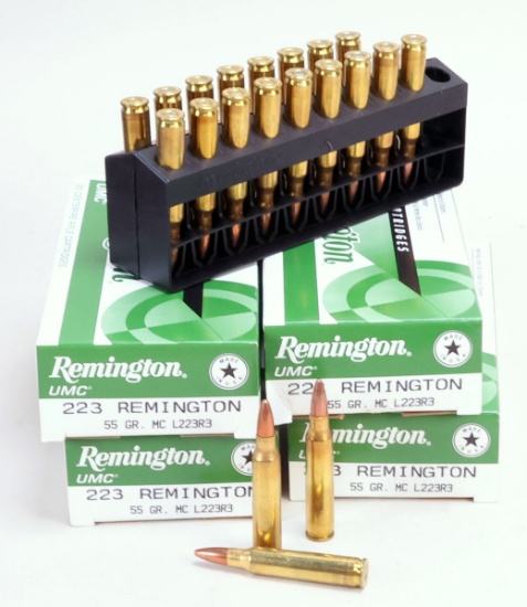 Remington .223 55 Gr. Cartridges, 80 Rds.