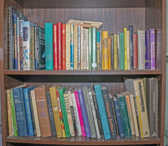 2 Shelves of Books: Psychology, Poetry, Religion, Fiction