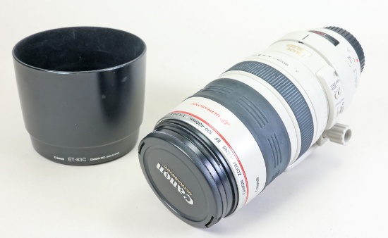 Canon EF100-400mm F4.5-5.6 IS USM Zoom Lens
