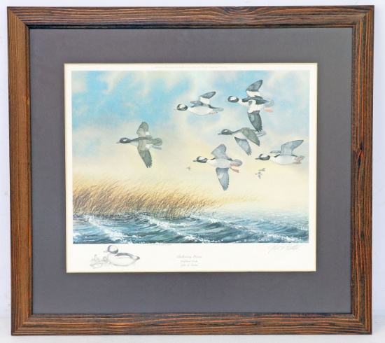 "Gathering Storm" Bufflehead Ducks Artists Proof by John L. Carter