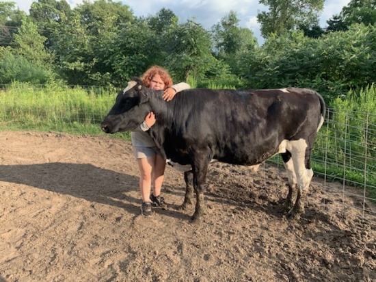 Leane Miller - APPROX/ 1080 BEEF STEER