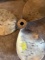 brass boat prop