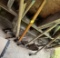lawn and garden tool s