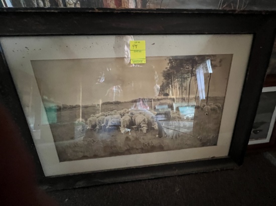picture lot