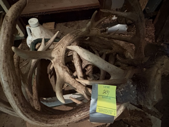 deer antlers