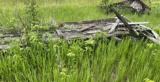 old farm wagons