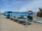Onion Grader