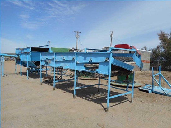Onion Grader